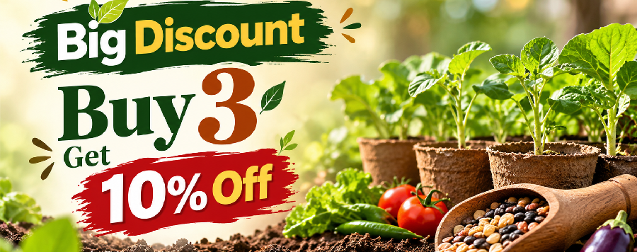 Big DIscount buy 3 get 10% off