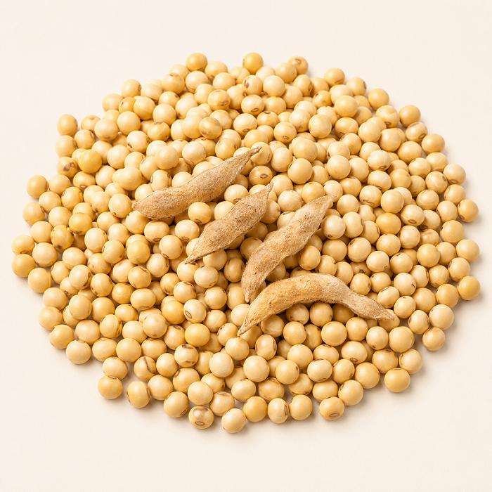 Brazil Super-5G Soybean Variety – High-Yield Soybean Seeds