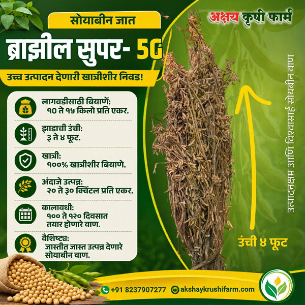 marathi