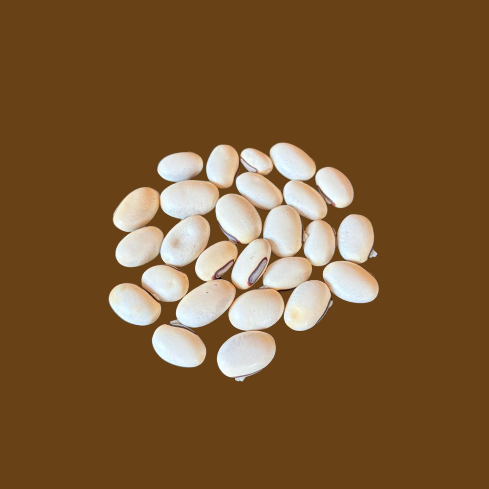 AMBAI SHENG PATADI