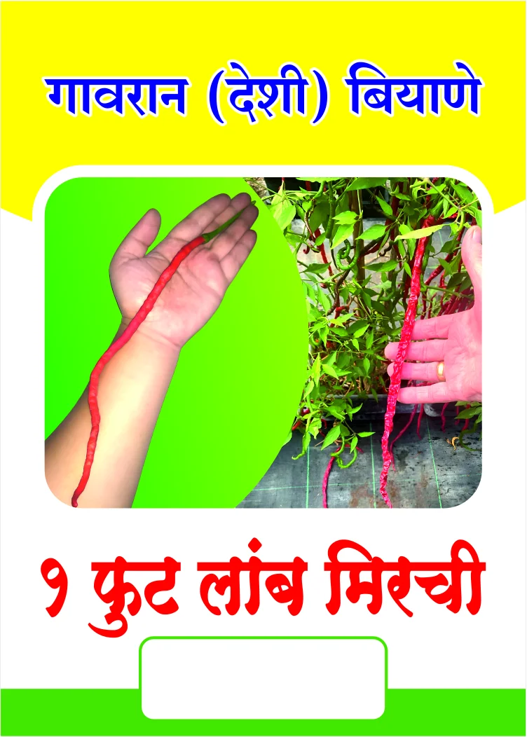 Ek Foot Lamb Mirchi (१ फूट लांब मिरची)