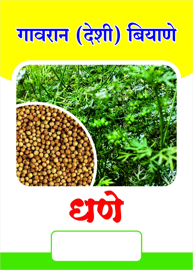 Gavran Dhane (गावरान धने)
