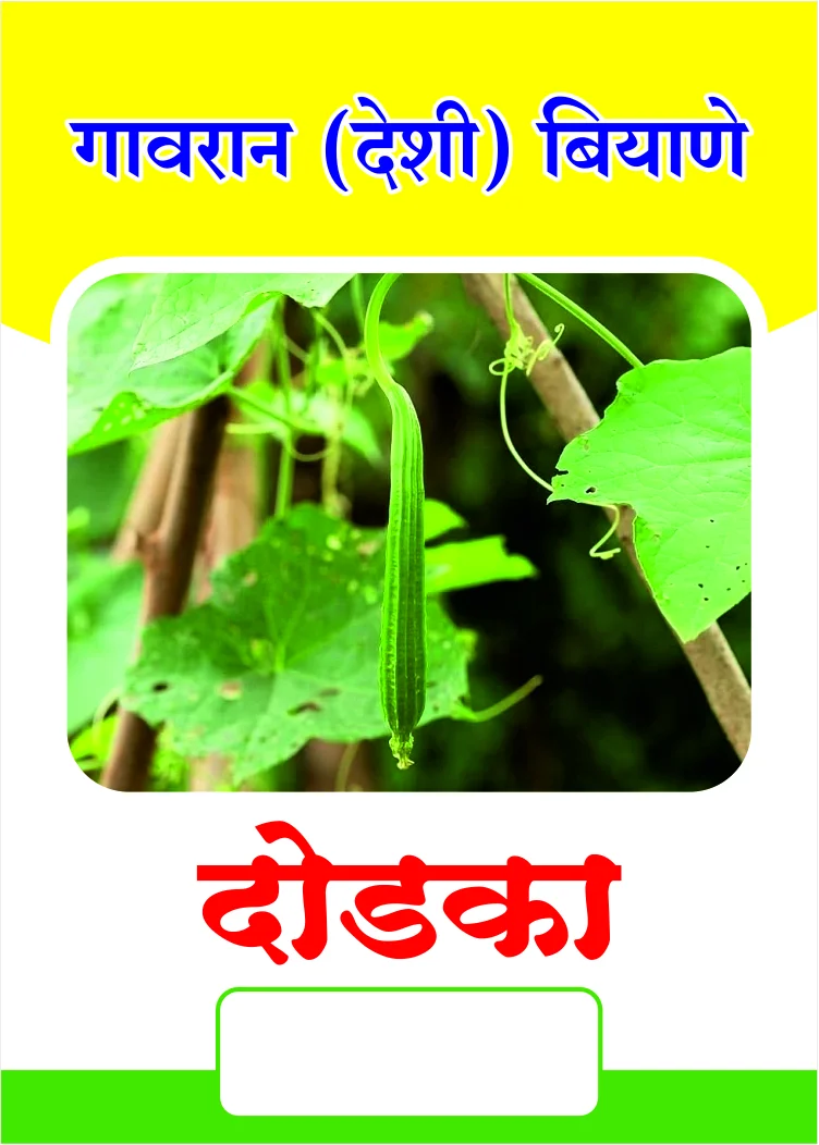 Dodka (दोडका)