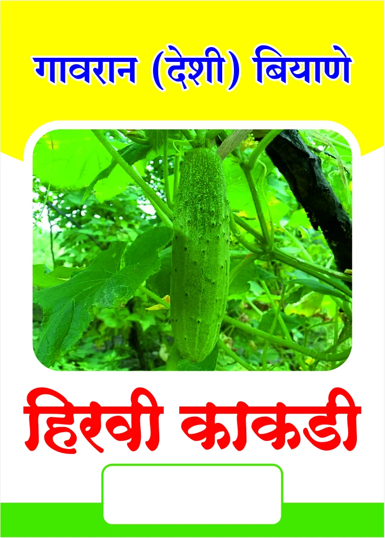 Hirvi Kakdi (हिरवी काकडी)