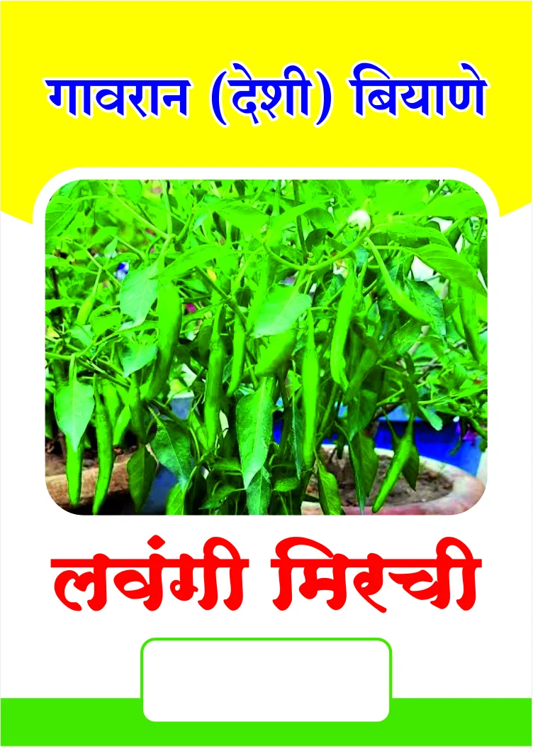 Gavran Tikhat Lavangi Mirchi (लवंगी मिरची)