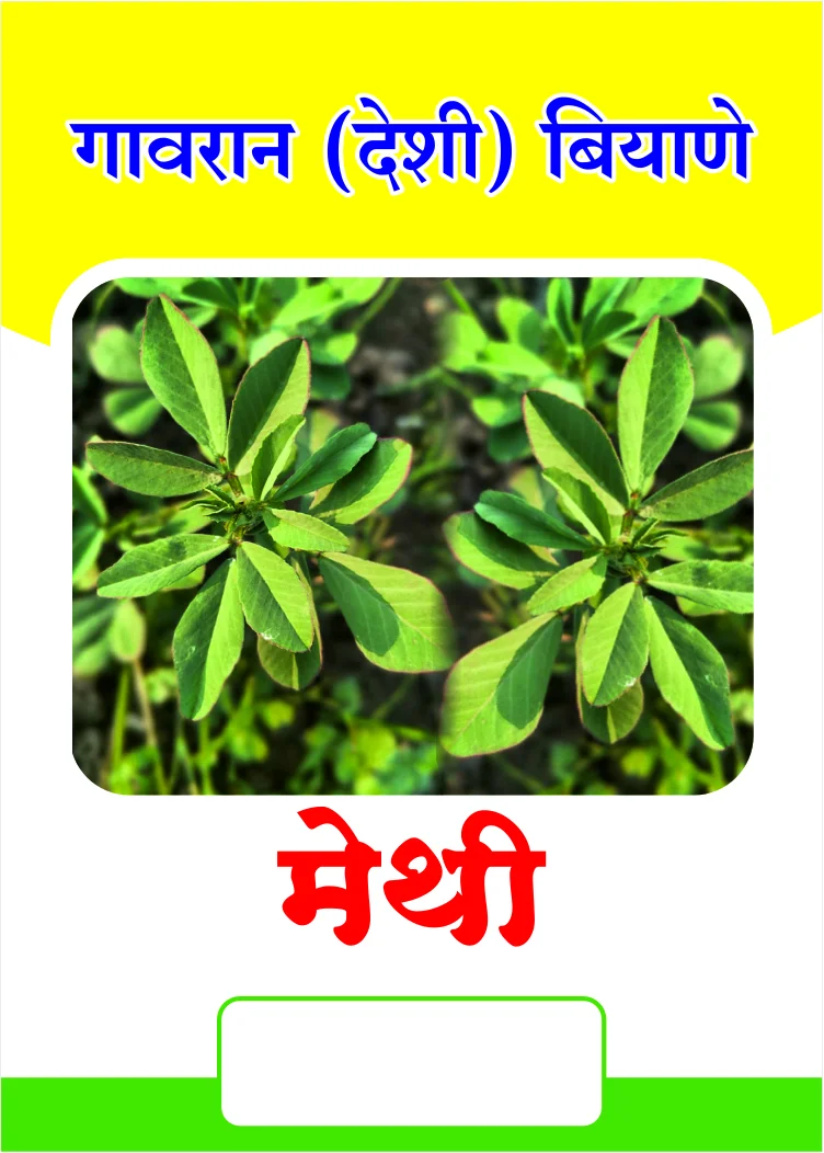 Lalkor Methi (मेथी)