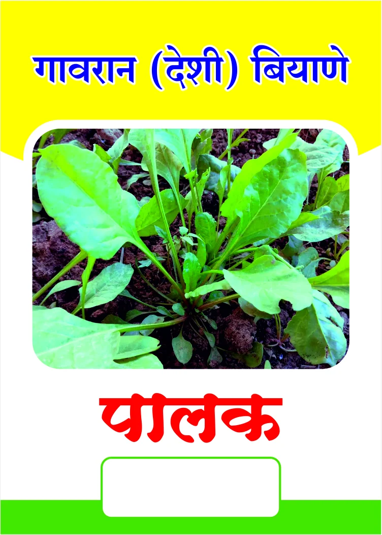 Gavran Palak (गावरान पालक)