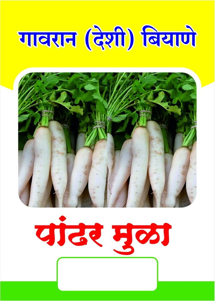 Gavran Pandhra Mula (पांढरा मुळा)