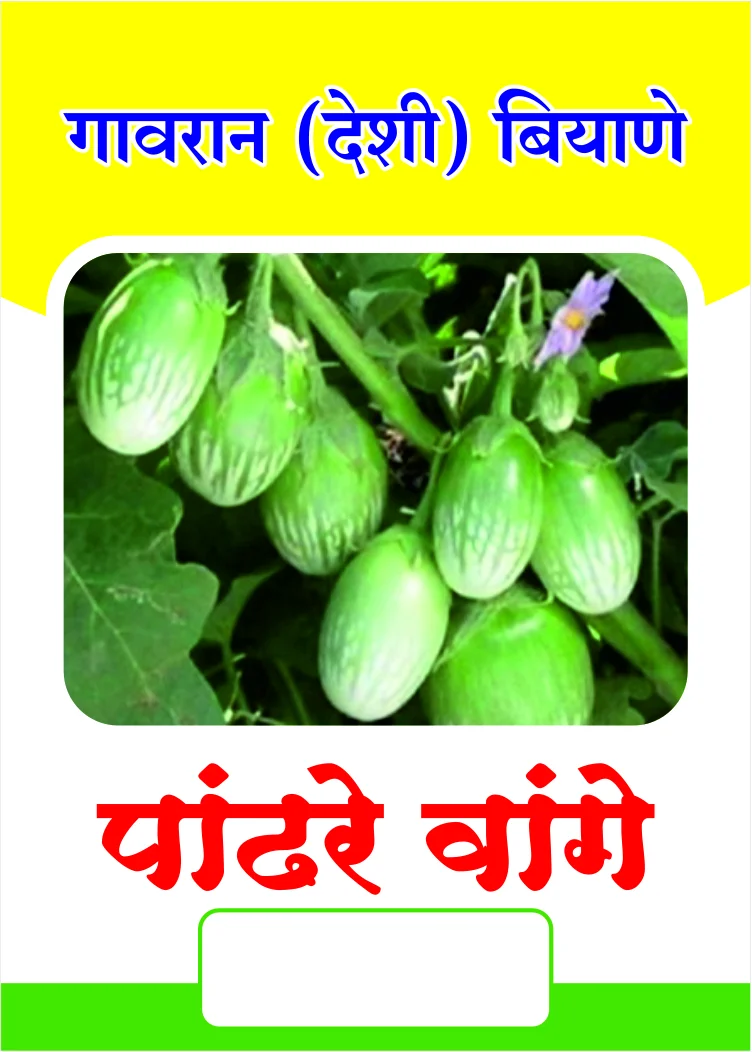 Pandhre Kateri Vange (पांढरे काटेरी वांगे)