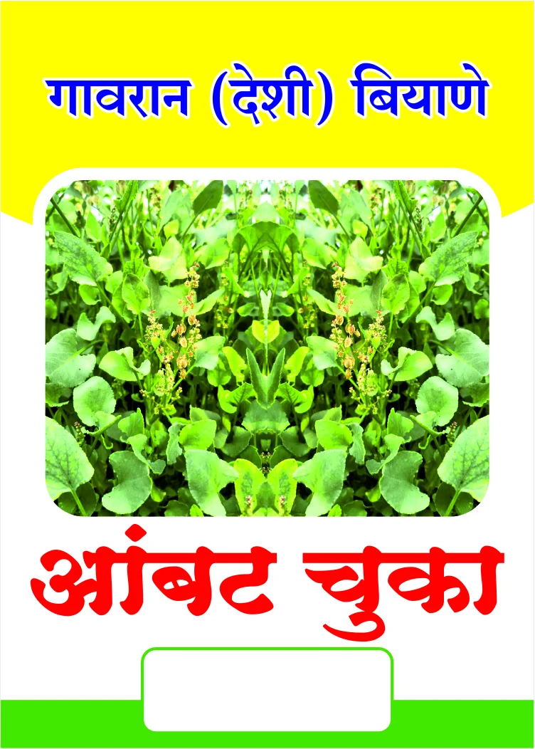 गावरान आंबट चुका बियाणे