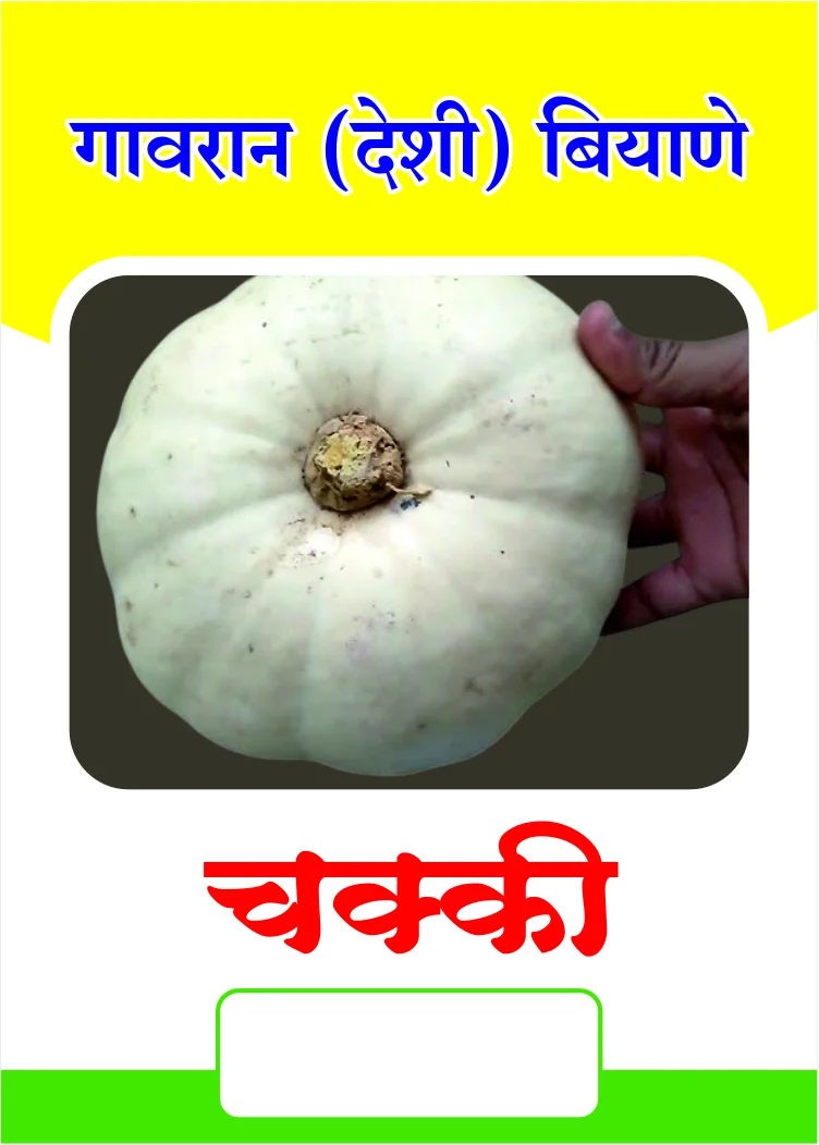चक्की भोपळा (कोहळा) बियाणे