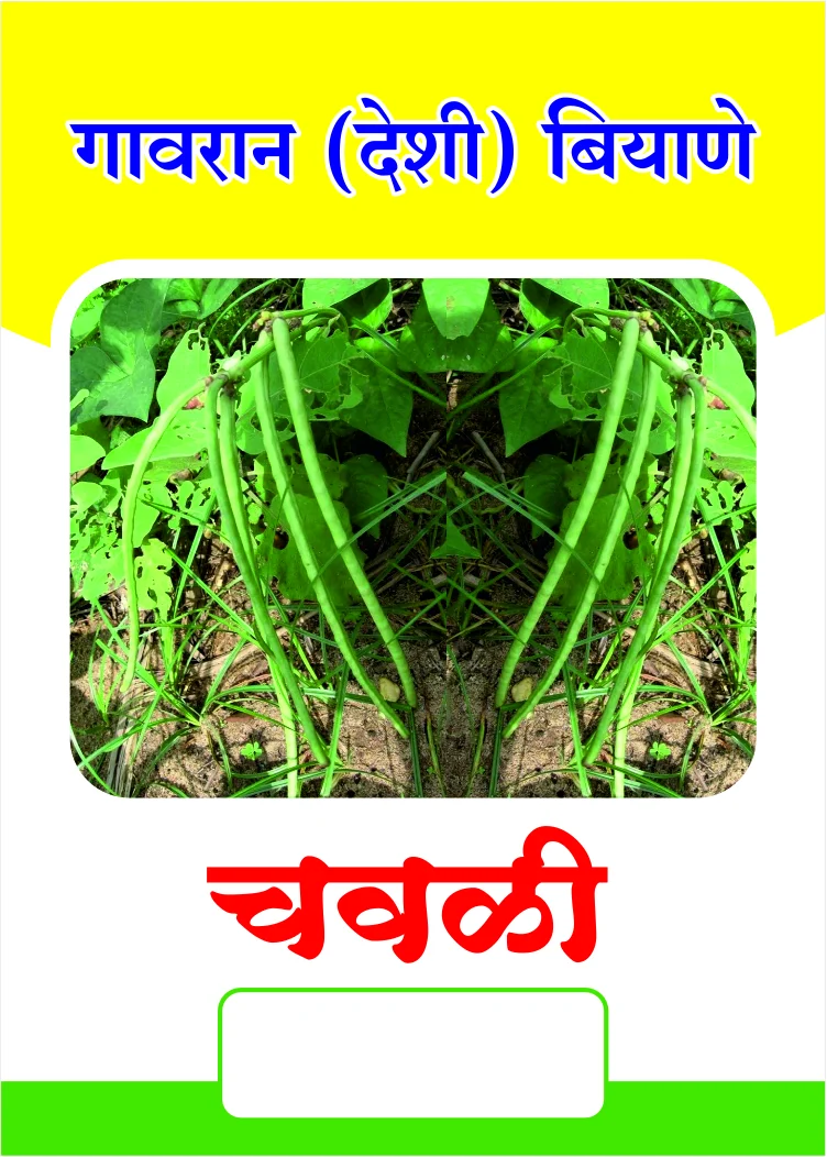 गावरान चवळी बियाणे