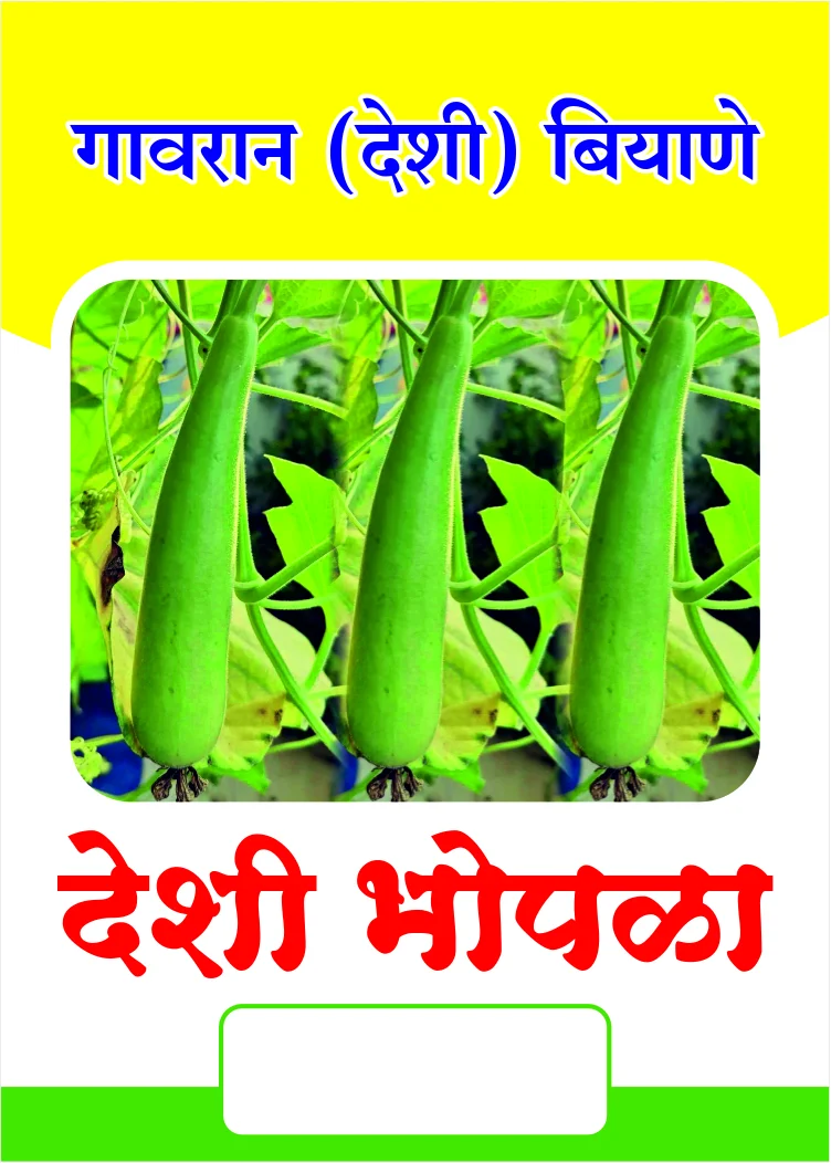 देशी लाल भोपळा बियाणे