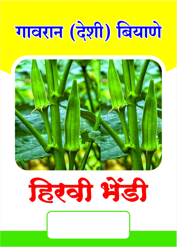 गावरान हिरवी भेंडी बियाणे