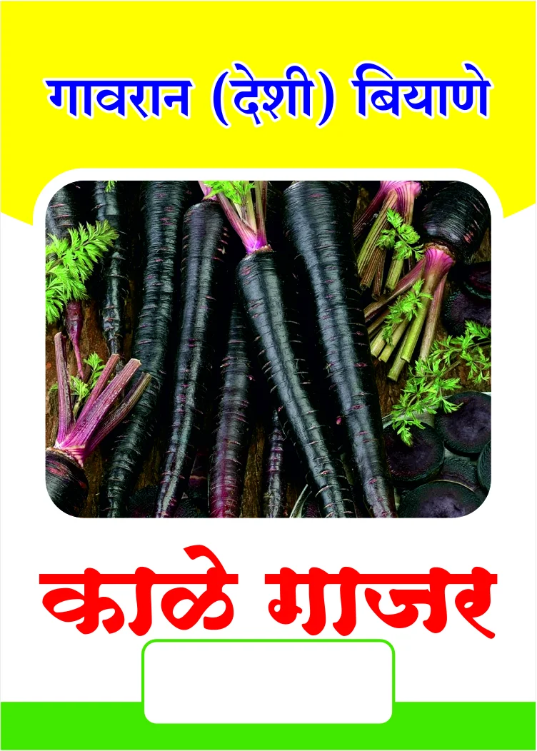 गावरान काळे गाजर बियाणे