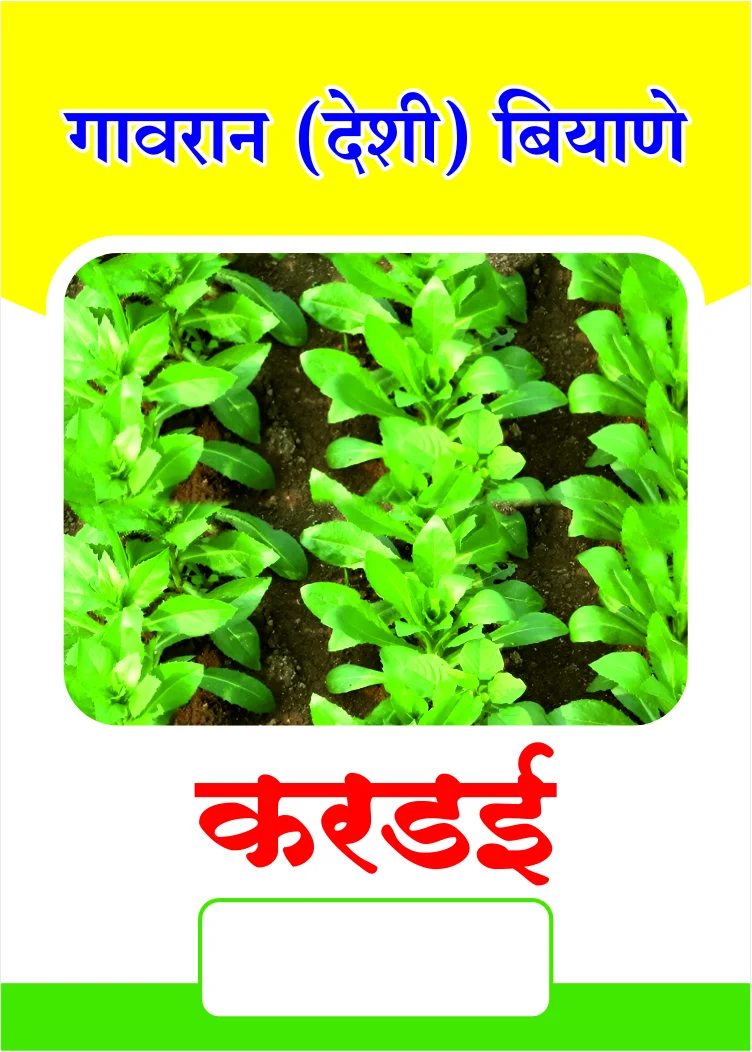 गावरान करडई बियाणे