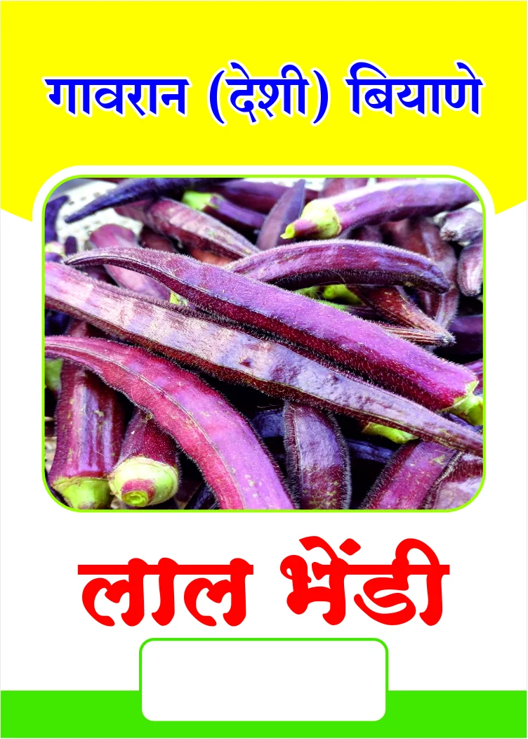 गावरान लाल भेंडी बियाणे