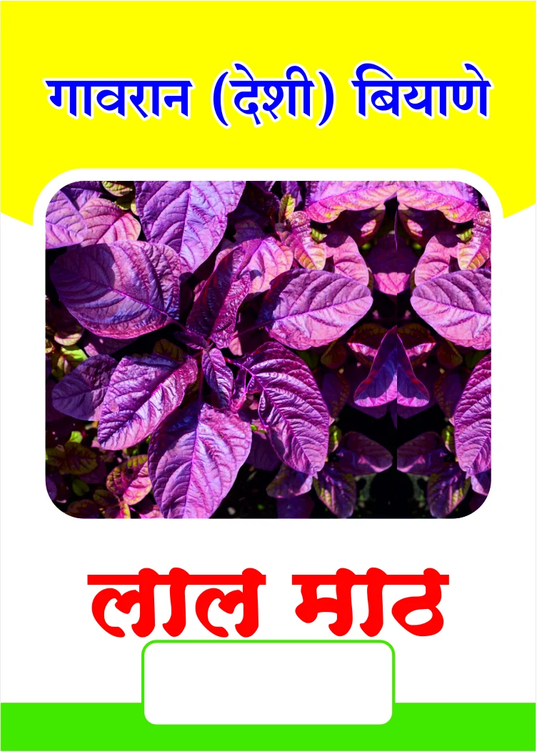 गावरान लाल माठ बियाणे