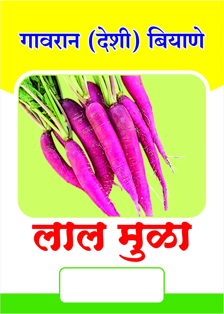 गावरान लाल मुळा बियाणे