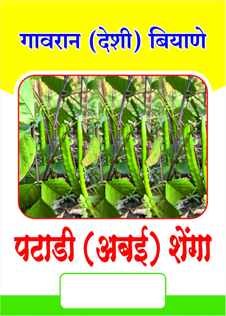 पटाडी (अबई) शेंगा बियाणे